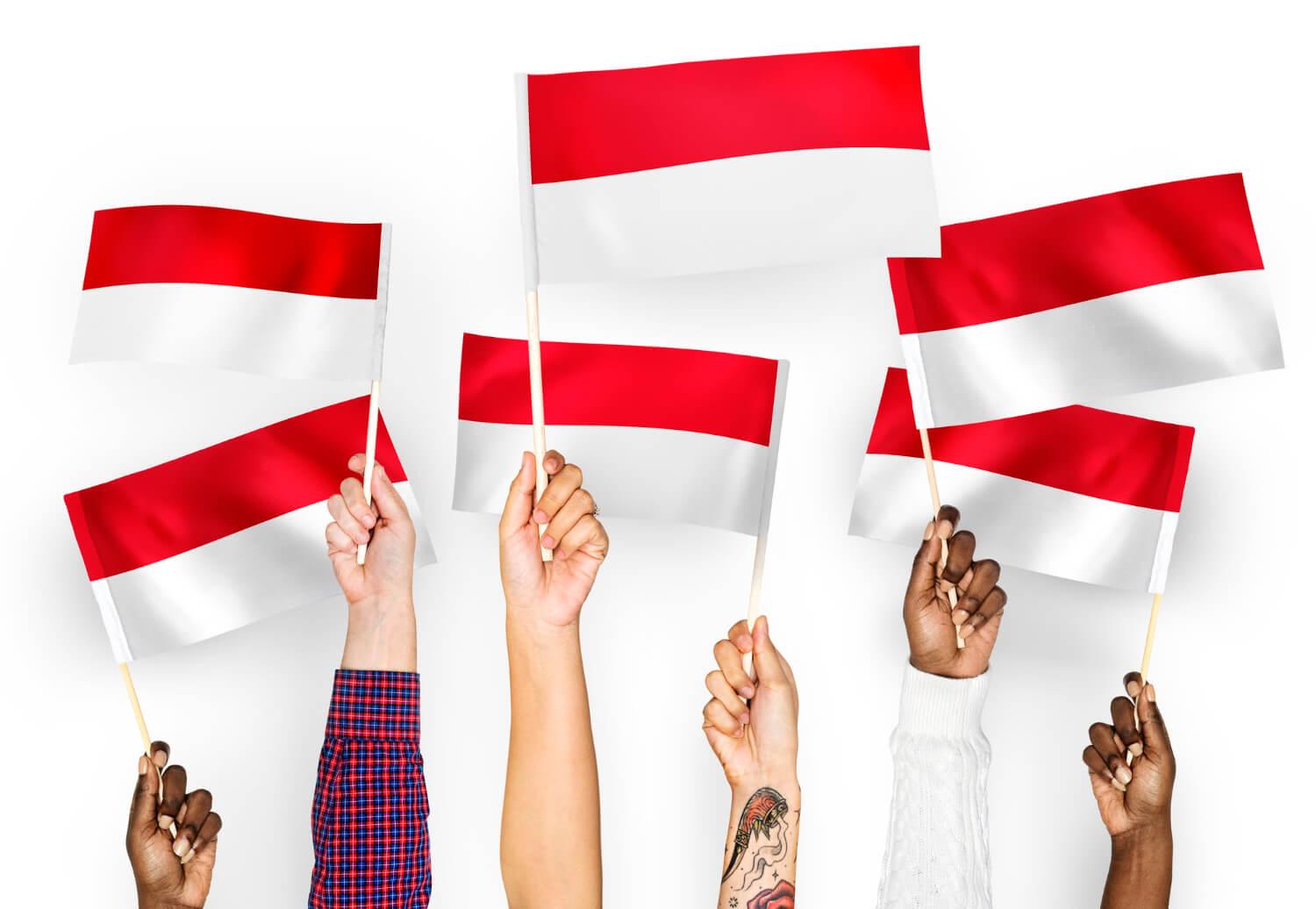 flag of polish - polish to english language translator - Transcribe lingo